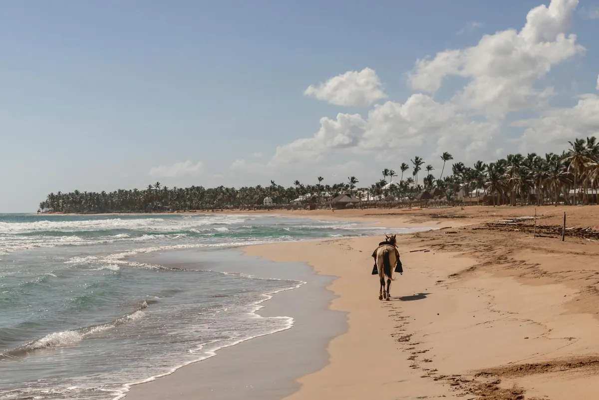 Horseback riding near Sosúa